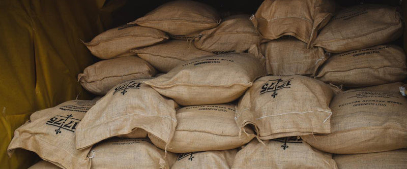 From the Farm to Your Cup: What Traceability in Coffee Actually Looks Like