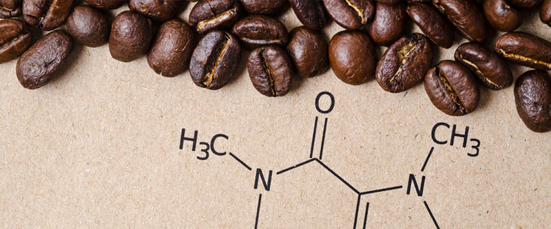 Coffee Doesn't Just Wake You Up. It Rewires the Bugs Living in Your Gut.