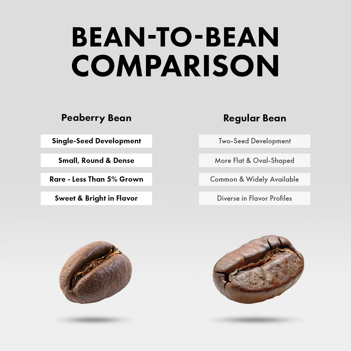 1775 Premium Peaberry Coffee - Dark Roast - 16 Oz. – 1775 Coffee